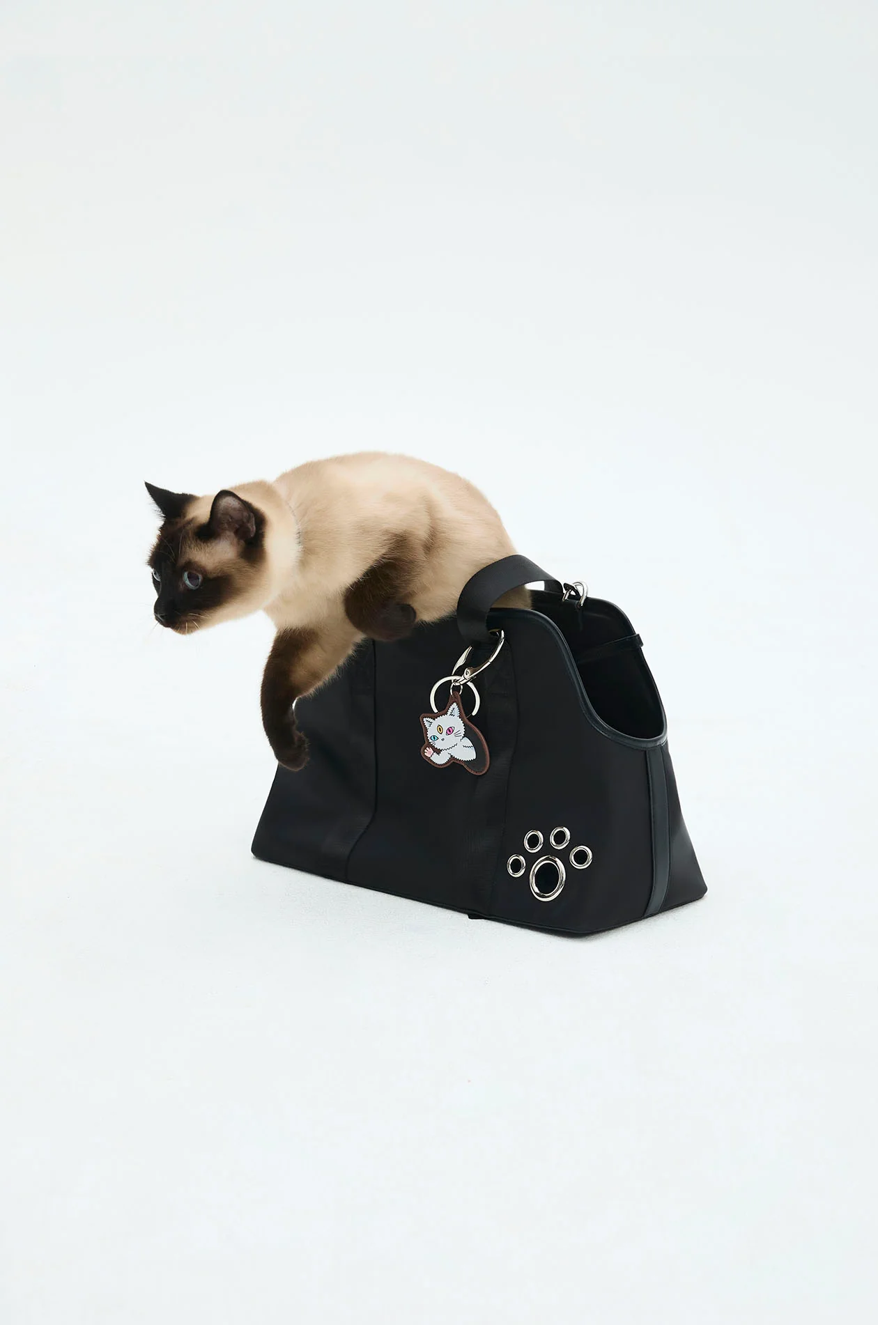Pet Carrier Bag with Gongkan - Image 5