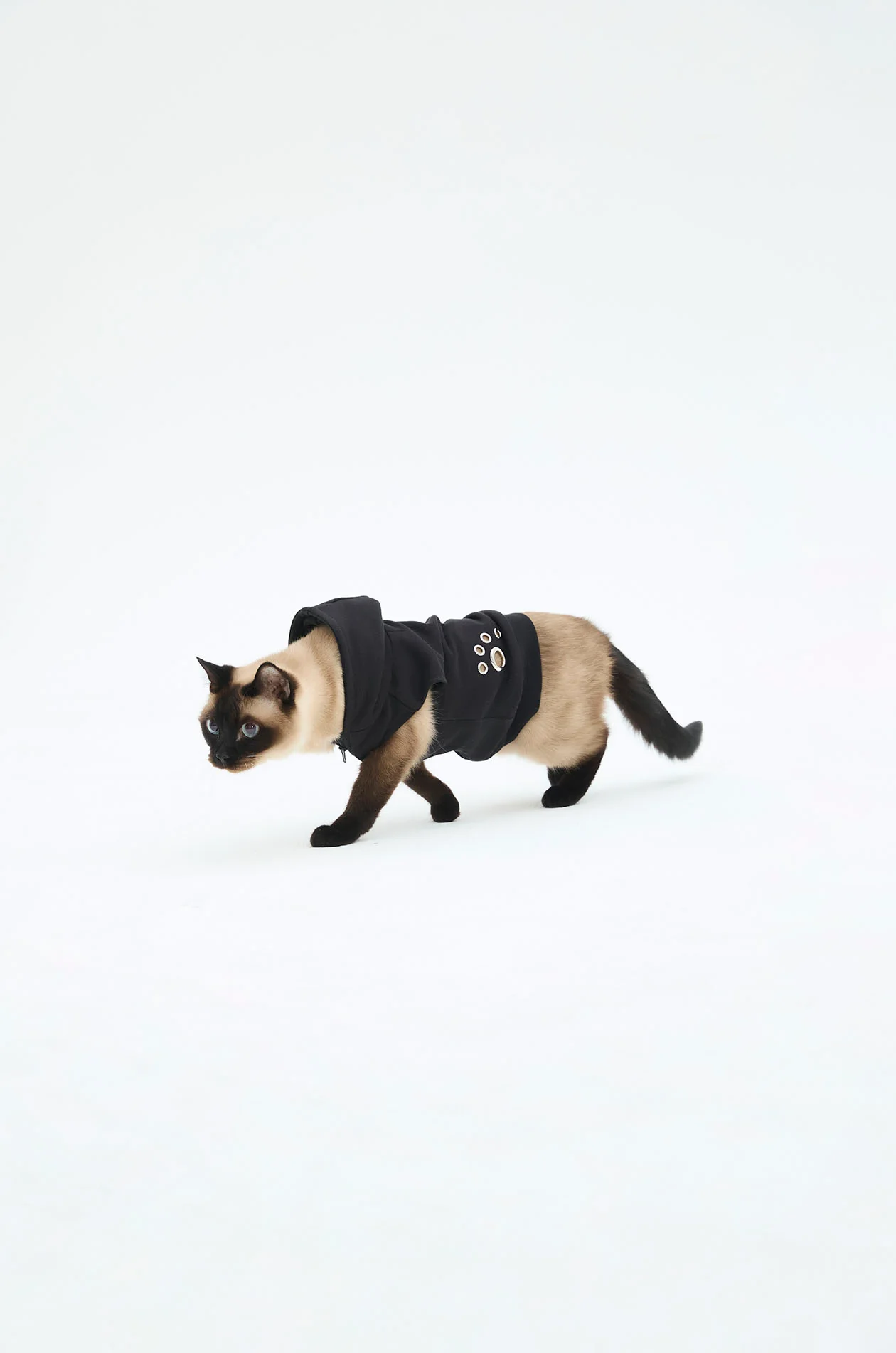 Pet Hoodie with Gongkan - Image 3