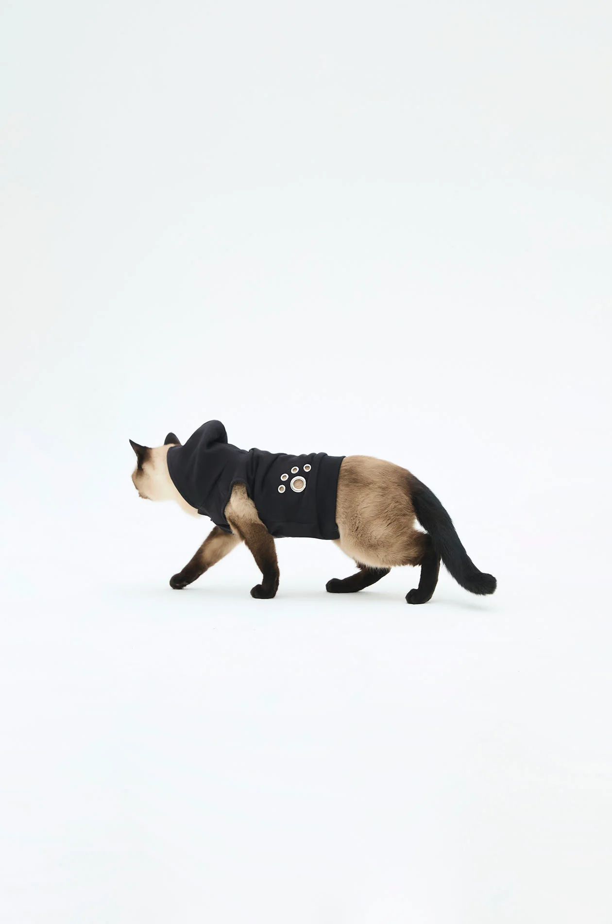 Pet Hoodie with Gongkan - Image 4