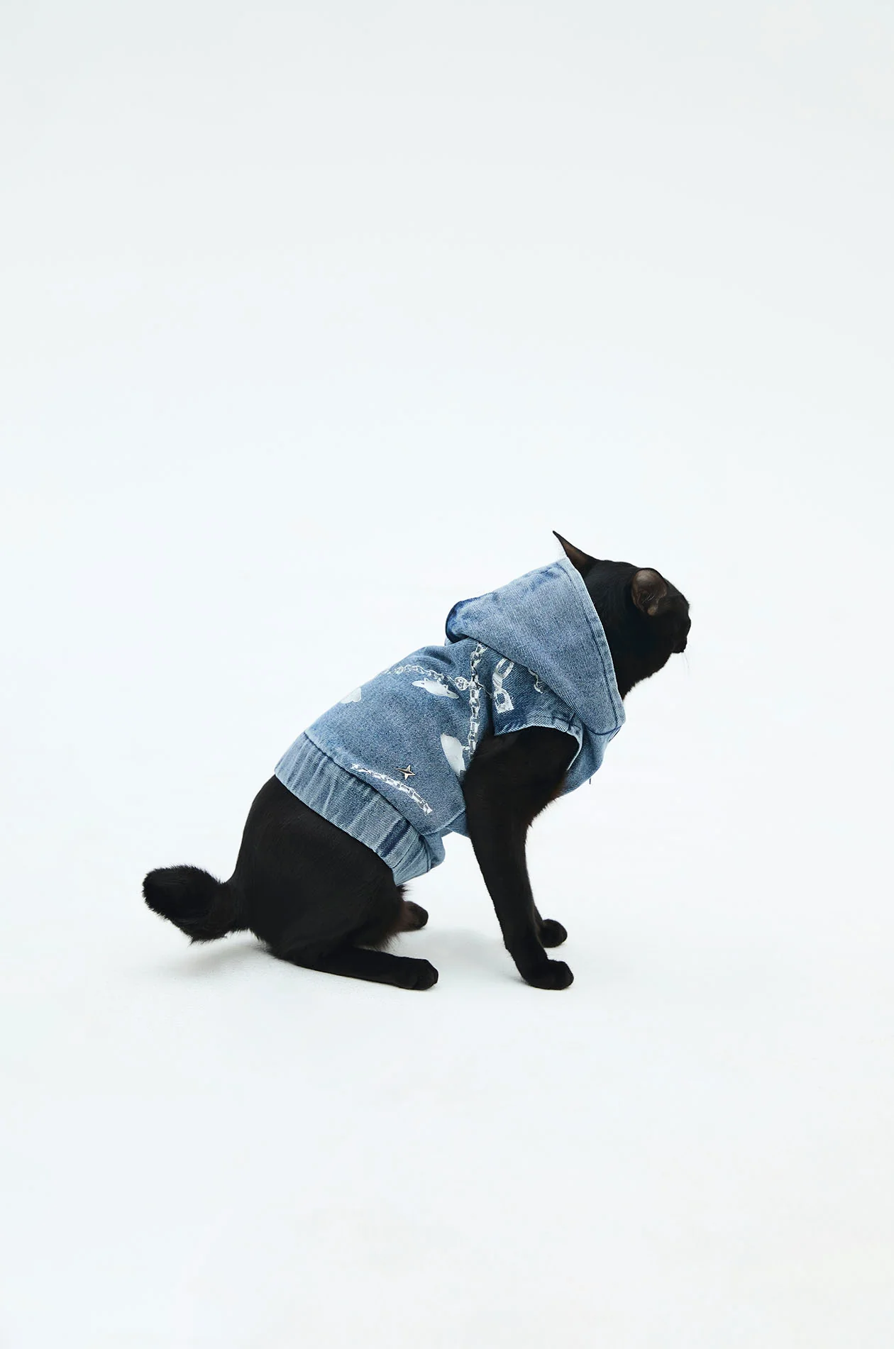 Pet Denim Hoodie with Gongkan - Image 3