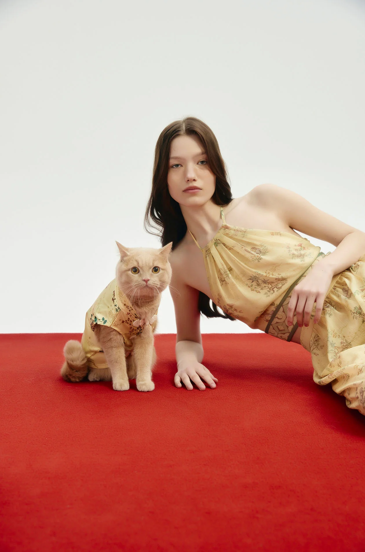 Yellow Motif Printed Satin Pet Cloth - Image 3
