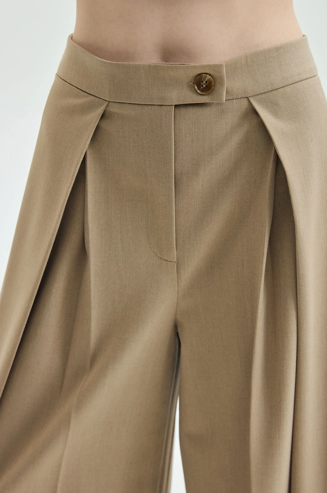 Pleated Wide-Leg Pants - Image 3