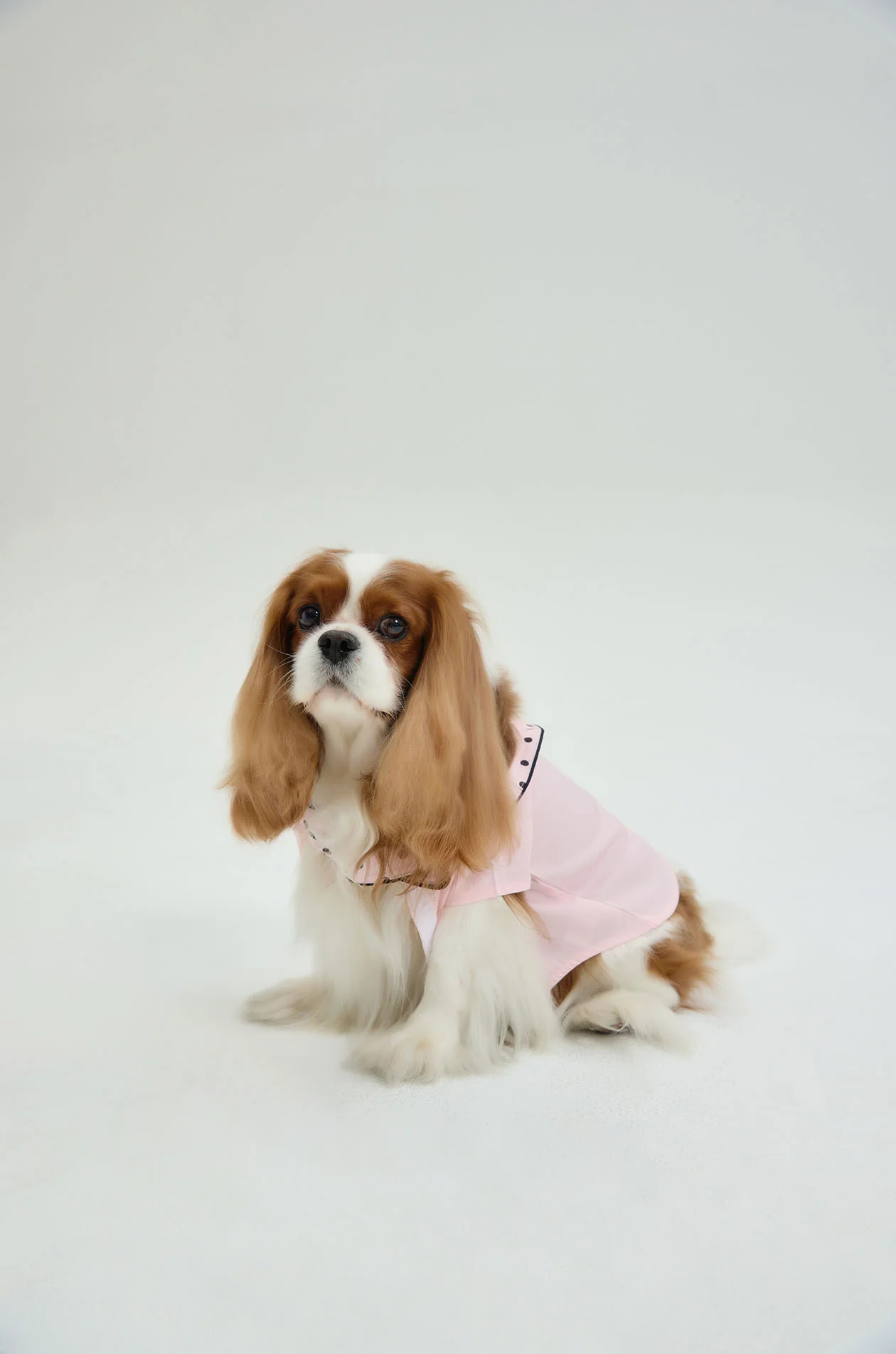 Pet Cloth with Dot Scarf - Image 3